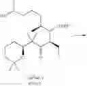 Fig. 19 - Method for producing c1-c15 fragments of epothilones and the derivatives thereof