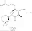 Fig. 28 - Method for producing c1-c15 fragments of epothilones and the derivatives thereof