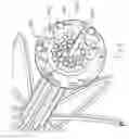 Fig. 16 - Brachytherapy apparatus