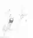 Fig. 02 - Pump with one-touch release