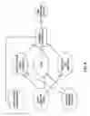 Fig. 07 - Macro-control of treatment for sleep disordered breathing