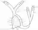 Fig. 01 - Urinary incontinence device