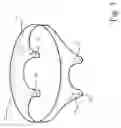 Fig. 04 - Urinary incontinence device