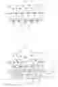 Fig. 03 - Disposable absorbent sanitary article