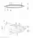 Fig. 11 - Absorbent article and system comprising thong-shaped holder