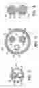 Fig. 03 - Bifurcated catheter for agent delivery and method of agent delivery