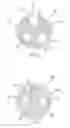 Fig. 03 - Medical catheters of modular construction