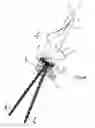 Fig. 05 - Threaded suture anchor with starting pitch