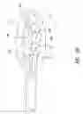 Fig. 04 - Light delivery apparatus