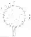 Fig. 05 - Light delivery apparatus