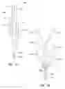 Fig. 18 - Light delivery apparatus