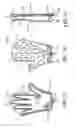Fig. 08 - Therapeutic device that provides stimulation to an immobilized extremity