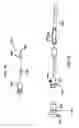 Fig. 19 - Method for aligning a stent graft delivery system