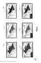 Fig. 07 - System and method for providing visual aids