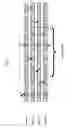 Fig. 04 - Cylinder to cylinder variation control
