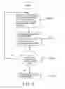 Fig. 05 - Islanding detection and protection method