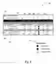 Fig. 05 - Application independent rendering of scorecard metrics