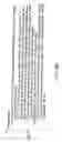 Fig. 85 - INFORMATION PLAYBACK SYSTEM USING INFORMATION STORAGE MEDIUM