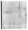 Fig. 09 - Device, system and method for storing and exchanging medical data