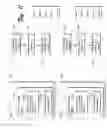 Fig. 12 - Data Signal with a Database and a Compressed Key