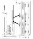 Fig. 08 - Application generator for data transformation applications