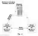 Fig. 04 - Web service information management in service-oriented architecture applications