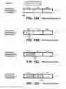 Fig. 13 - Non-volatile memories with memory allocation for a directly mapped file storage system