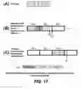 Fig. 15 - Non-volatile memories with memory allocation for a directly mapped file storage system