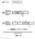 Fig. 15 - Methods for adaptive file data handling in non-volatile memories with a directly mapped file storage system