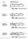 Fig. 13 -  Non-volatile memories with data alignment in a directly mapped file storage system