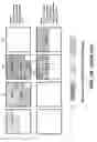Fig. 18 -  Non-volatile memories with data alignment in a directly mapped file storage system