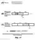 Fig. 15 - Methods for data alignment in non-volatile memories with a directly mapped file storage system