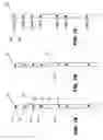 Fig. 02 - Indexed scrollbar