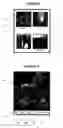 Fig. 04 - Mobile device display of multiple streamed data sources