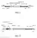 Fig. 02 - 1F and 1Ac transgenic cotton lines and event-specific identification thereof