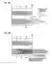 Fig. 09 - METHOD OF MANUFACTURING DYNAMIC PRESSURE BEARING MEMBER