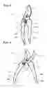 Fig. 03 - Magnet biased work tool