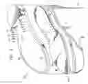 Fig. 04 - Insole for footwear