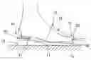 Fig. 01 - Shoe having light device