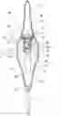 Fig. 01 - Fishing bobber having light device