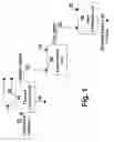 Fig. 02 - Production of biodiesel from triglycerides via a thermal route