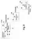 Fig. 03 - Production of biodiesel from triglycerides via a thermal route