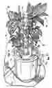 Fig. 01 - Vertical garden
