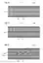 Fig. 03 - Structural sandwich plate members