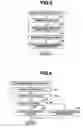 Fig. 04 - Diagnostic apparatus and diagnostic method for an internal combustion engine