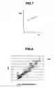 Fig. 06 - Diagnostic apparatus and diagnostic method for an internal combustion engine