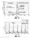Fig. 02 - Catalyst system for the reduction of NOand NHemissions