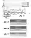 Fig. 07 - Catalyst system for the reduction of NOand NHemissions