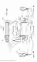 Fig. 04 - Overflow downdraw glass forming method and apparatus