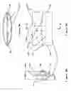 Fig. 10 - Overflow downdraw glass forming method and apparatus